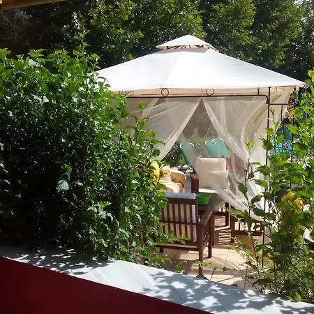 Damia Hotel Hotel